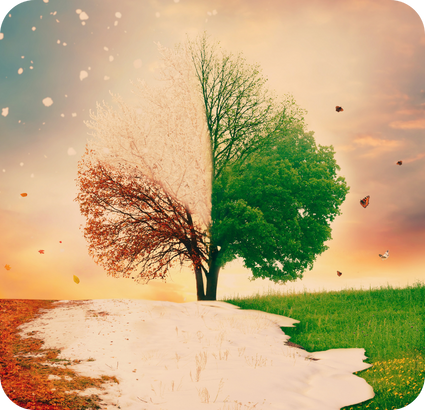 Season Of Transition